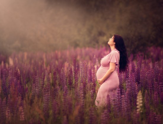 Gravidfotografering med lupiner och sol i  Ockelbo